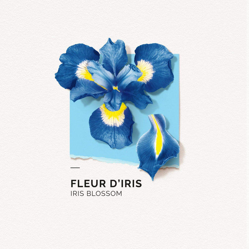 Solinotes Paris Eau De Parfum Natural Botanical Perfume (Iris Blossom) - LMCHING Group Limited