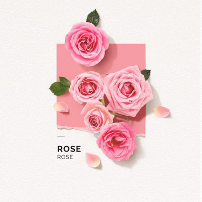 Solinotes Paris Eau De Parfum Natural Botanical Roll On Perfume (Rose) 10ml - LMCHING Group Limited