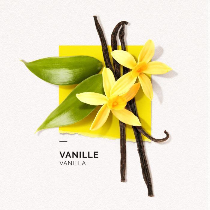 Solinotes Paris Eau De Parfum Natural Botanical Roll On Perfume (Vanilla) 10ml - LMCHING Group Limited