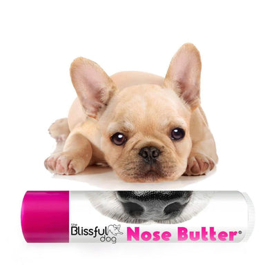 The Blissful Dog USA Beurre pour nez de chien naturel et biologique (Nez sec et craquelé) 5 g