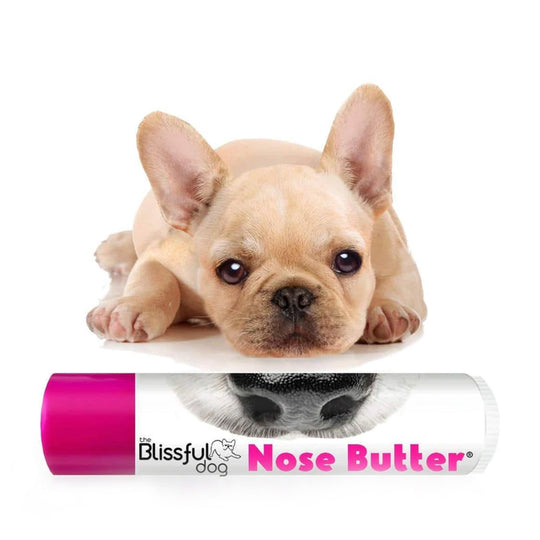 the Blissful dog USA Natural Organic Dog Nose Butter (Dry
