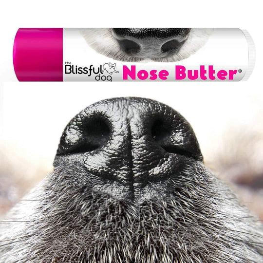 the Blissful dog USA Natural Organic Dog Nose Butter (Dry & Cracked Nose) 5g - LMCHING Group Limited