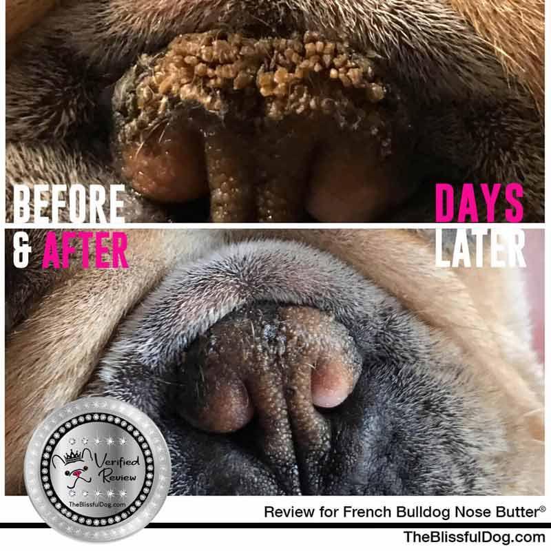 the Blissful dog USA Natural Organic Dog Nose Butter (Dry & Cracked Nose) 5g - LMCHING Group Limited