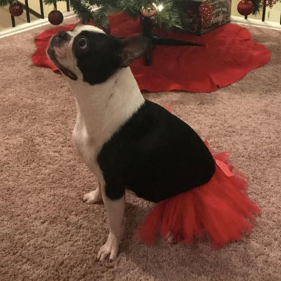 Tutu Joli USA Handmade Comfortable Red Pet Tutu Skirt 1pc - LMCHING Group Limited